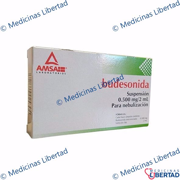 BUDESONIDA .500MG AMSA SUSP P/NEBULIZAR C/5
